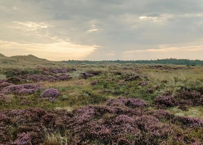 Seaside Bliss In - By Traum Semesterbostad Ålbæk